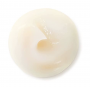 Benefiance WR24 Concentrate Neck Contour Treatment 50ml